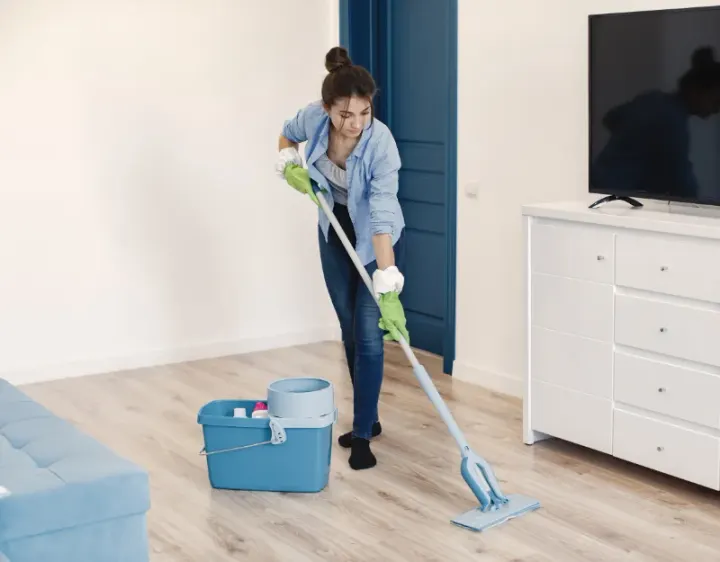 Femme de ménage Vacquiers